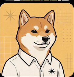 Shiba Chemise Orange